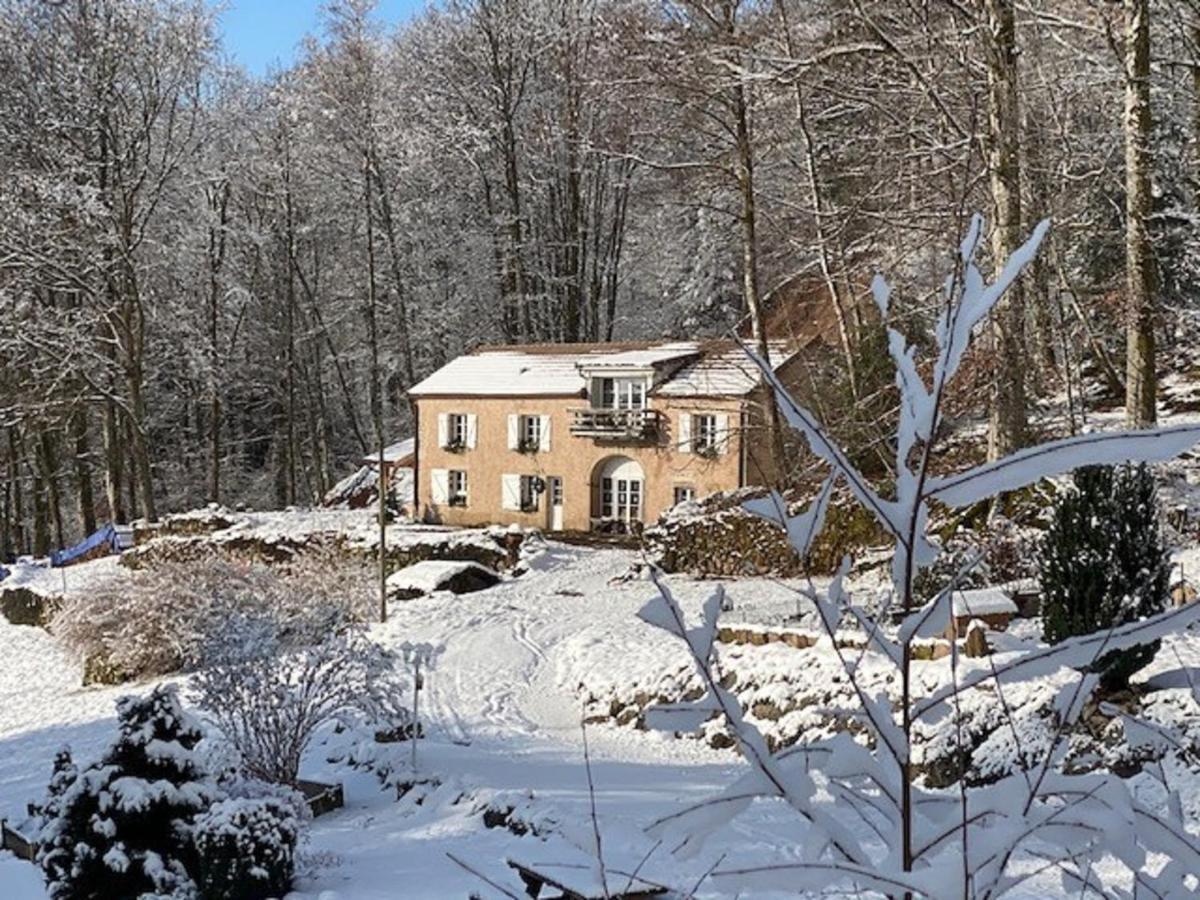 Gite Du Bois Des Hauts Les Mille Etangs La Lanterne-et-les-Armonts Bagian luar foto